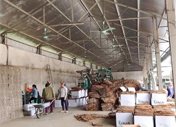 The 3rd Que Van Yen Festival will take place from October 11 to 16, 2019